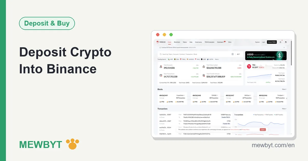 Cover image for the Binance crypto deposit guide
